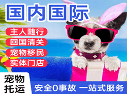 图木舒克唐王城空运公司国际宠物托运 【国